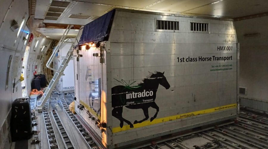 Magma and Intradco take equestrian air transport seriously for event flights